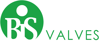 26.BIS VALVES